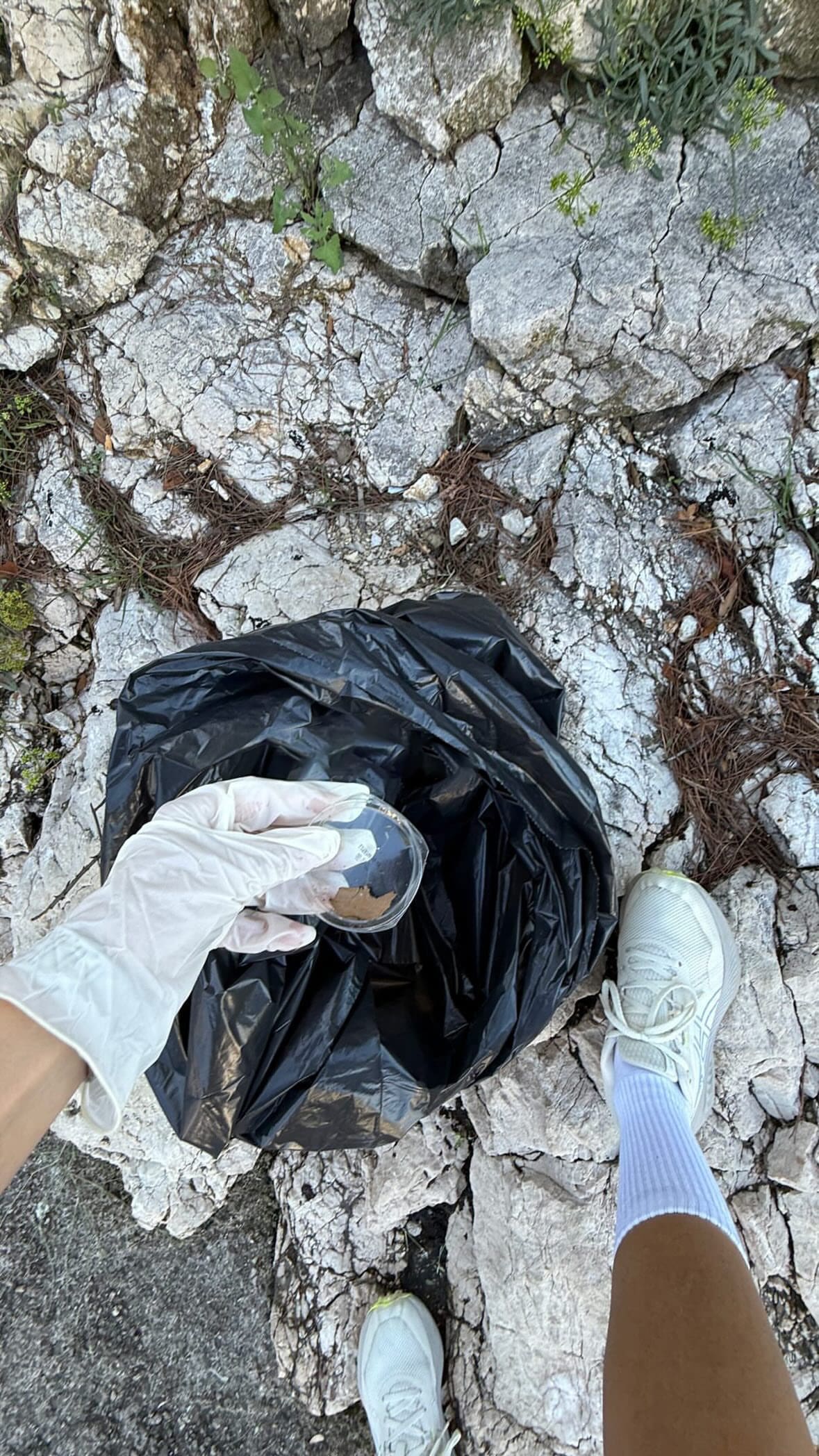 Garbage collection at the Green Cleanup in Kostrena