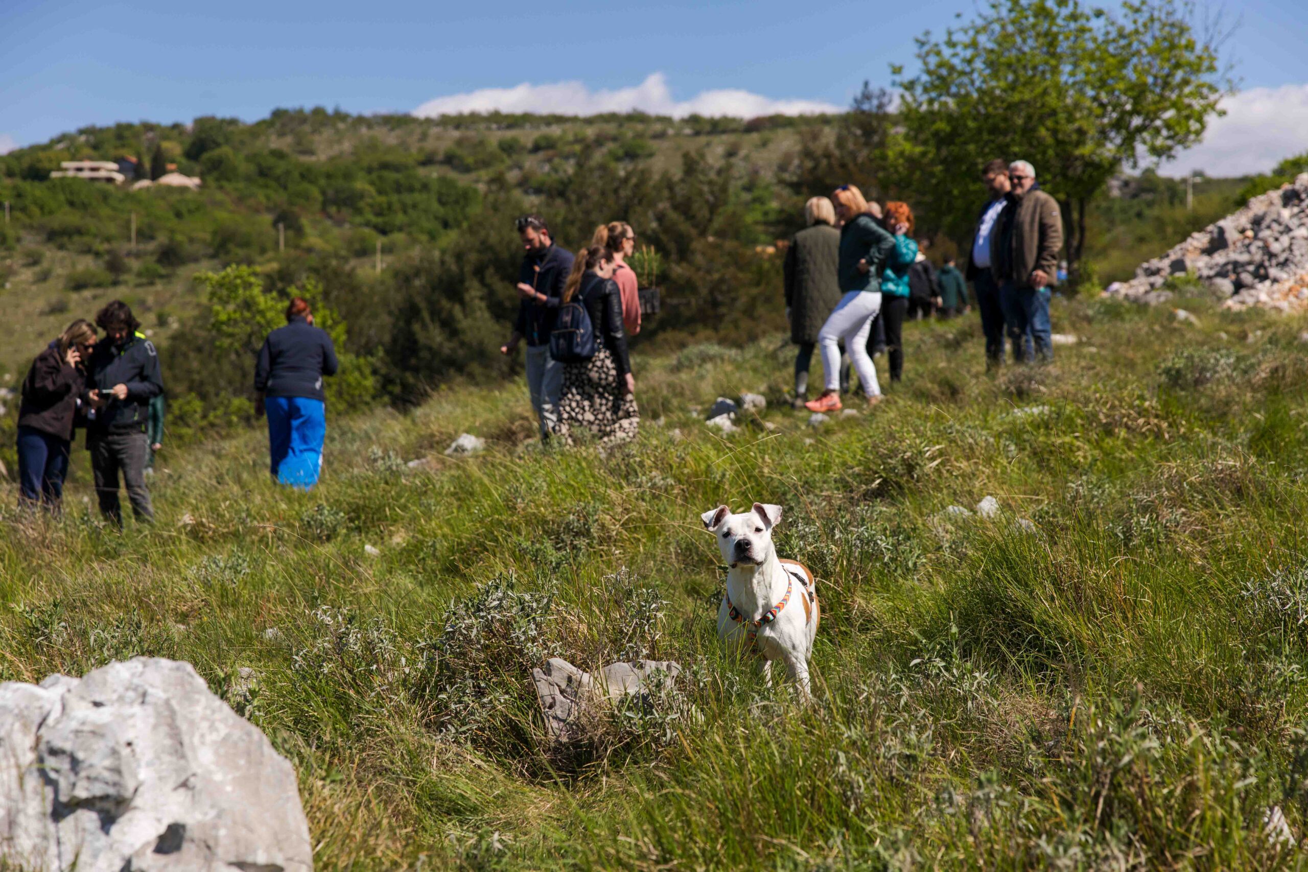 back-to-blu-posumljavanje-20